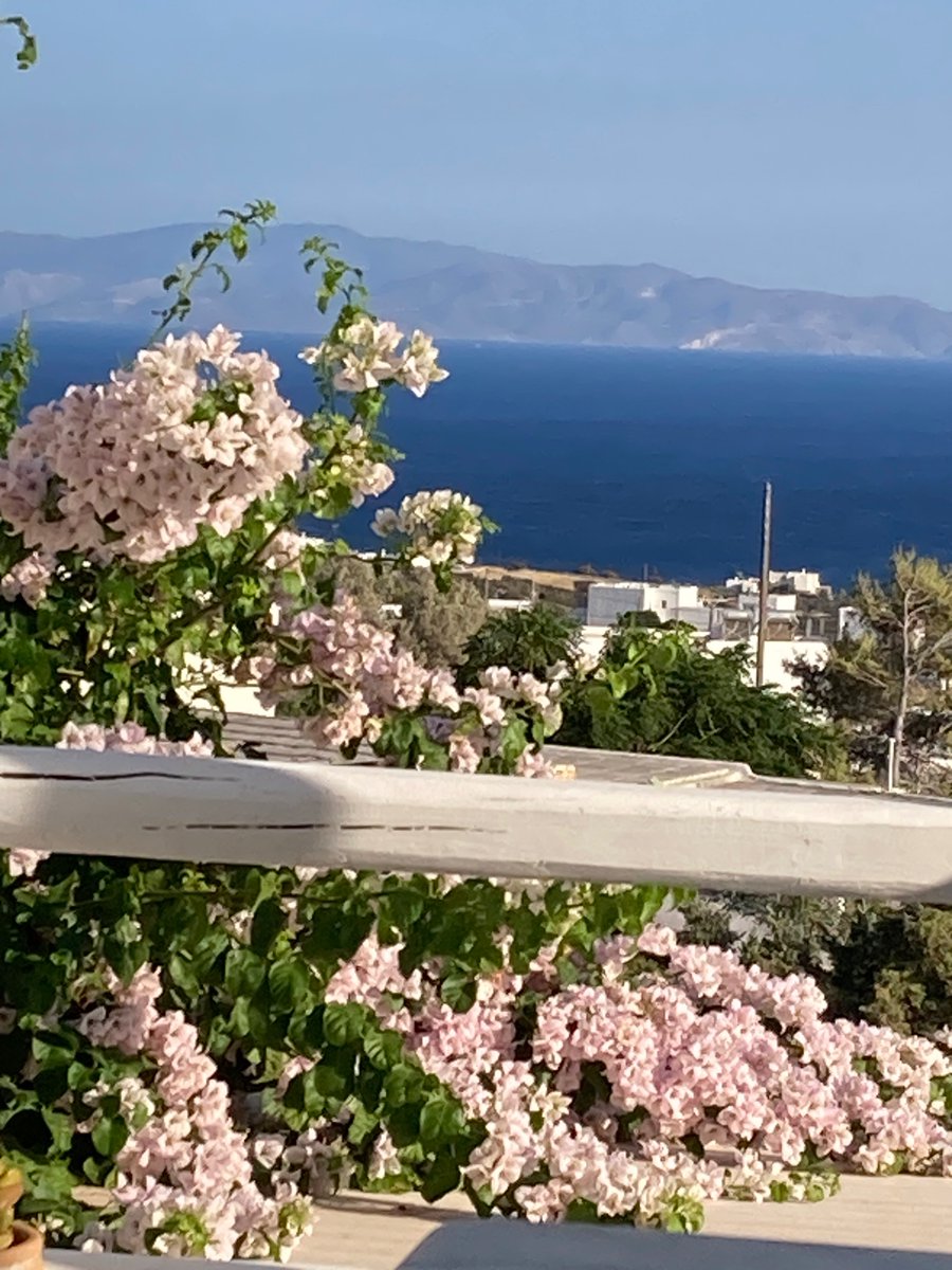 KateStrafford's tweet photo. Beautiful #paros https://t.co/E3twhOd5LH