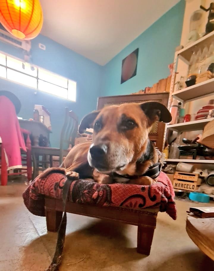 🏳️‍🌈 Zxʀʀɪᴛx 💦 tweet media