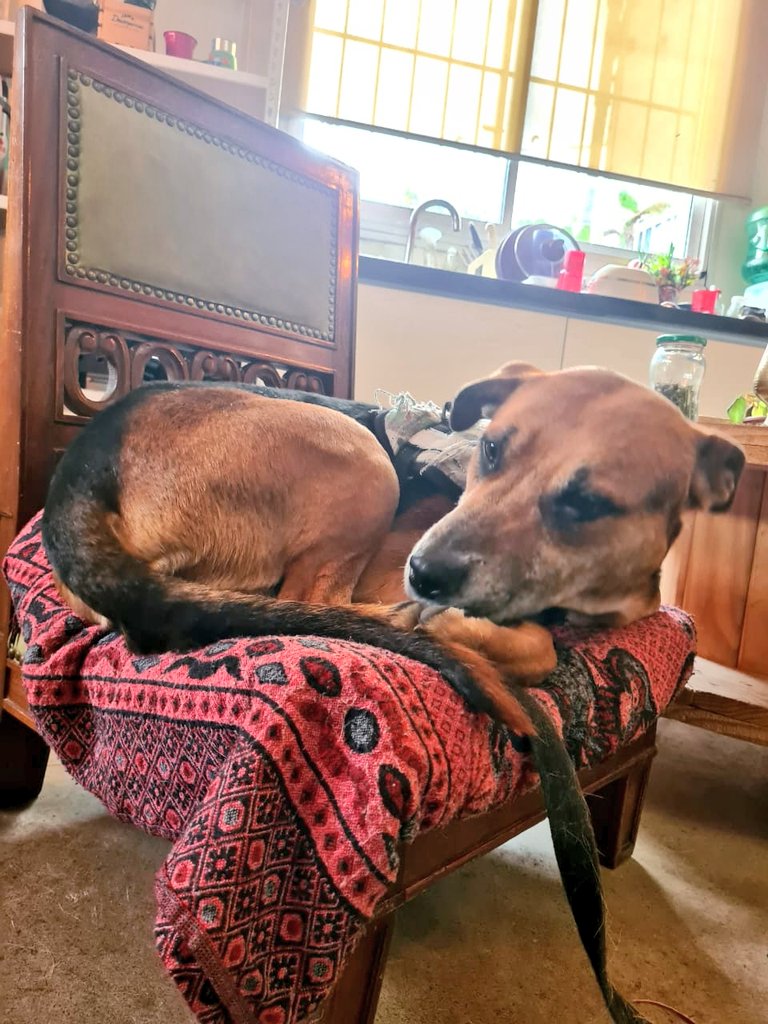 🏳️‍🌈 Zxʀʀɪᴛx 💦 tweet media