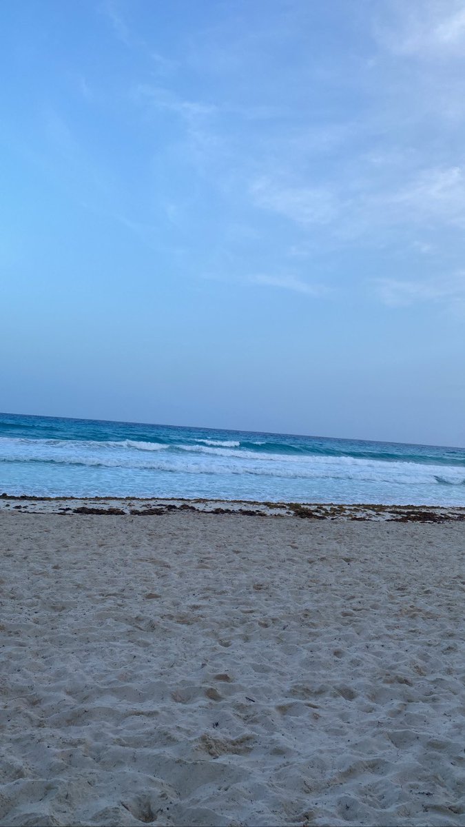 Andrea tweet media