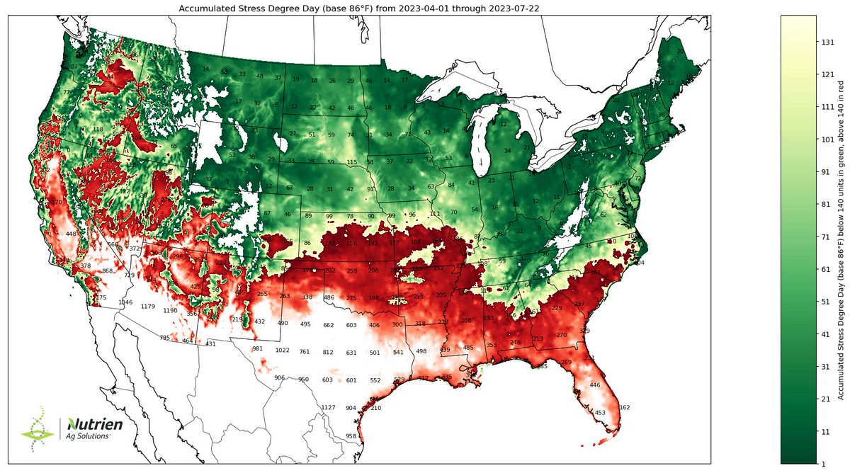 Eric Snodgrass tweet media