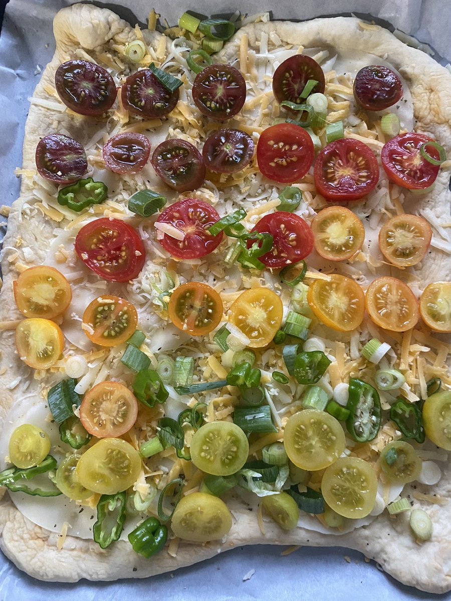 seasaltnc's tweet photo. 🍅 https://t.co/b8zwMVhLPW
