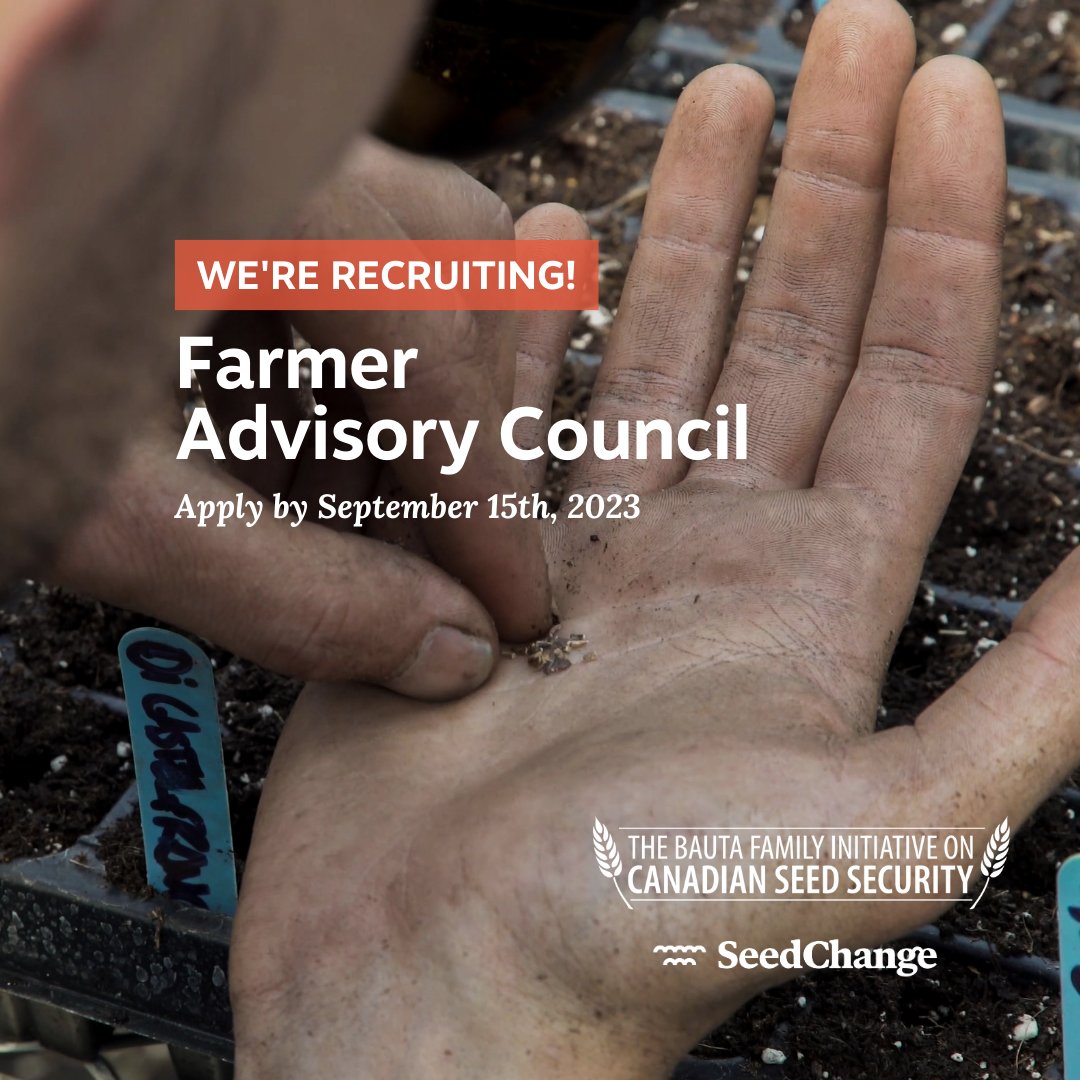 The Bauta Family Initiative, #SeedChange's Canadian program, is recruiting members for its Farmer Advisory Council!

Deadline to apply is Sep 15, 2023. For more details, visit: seedsecurity.ca/en/about/farme….

#foodsecurity #foodsovereignty #canada #seeds #socialjustice #agroecology