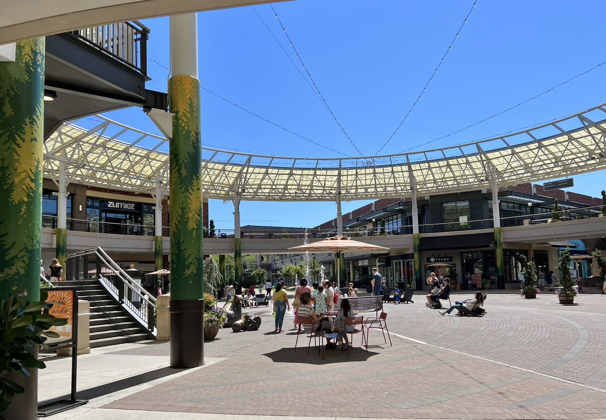 Annemarie Comes tweet media