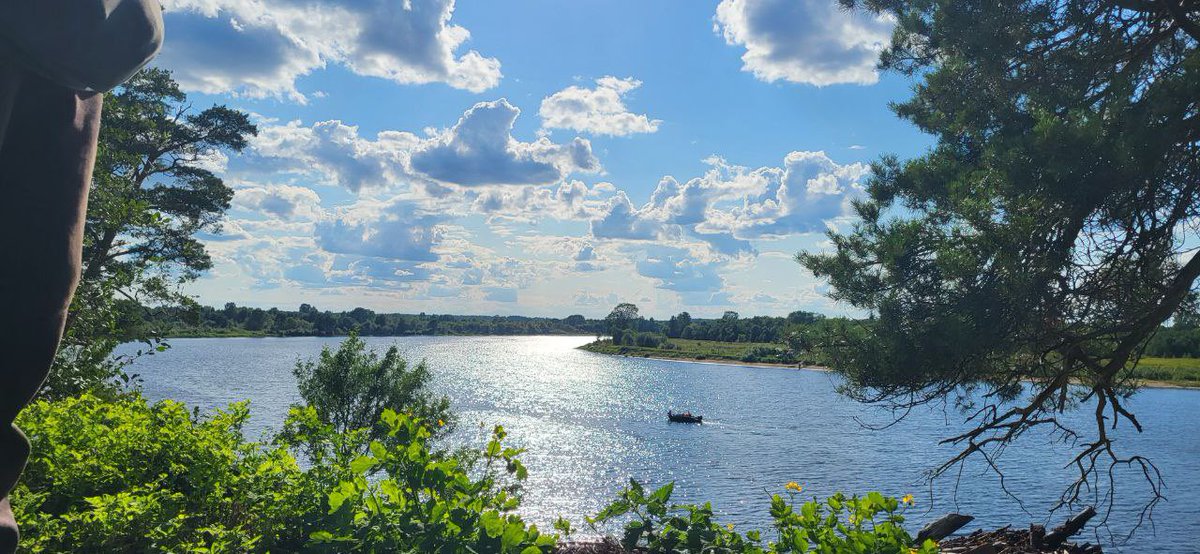 Такой вид будет в нашем рехабе. В @mrandrewdoronin в инстаграме если что, буду выкладывать фото и видео. Не обещаю, все по настроению. подписывайтесь. Заодно расскажу, как продвигается процесс подготовки места к запуску. Еще в тг : t.me/neprokotiki