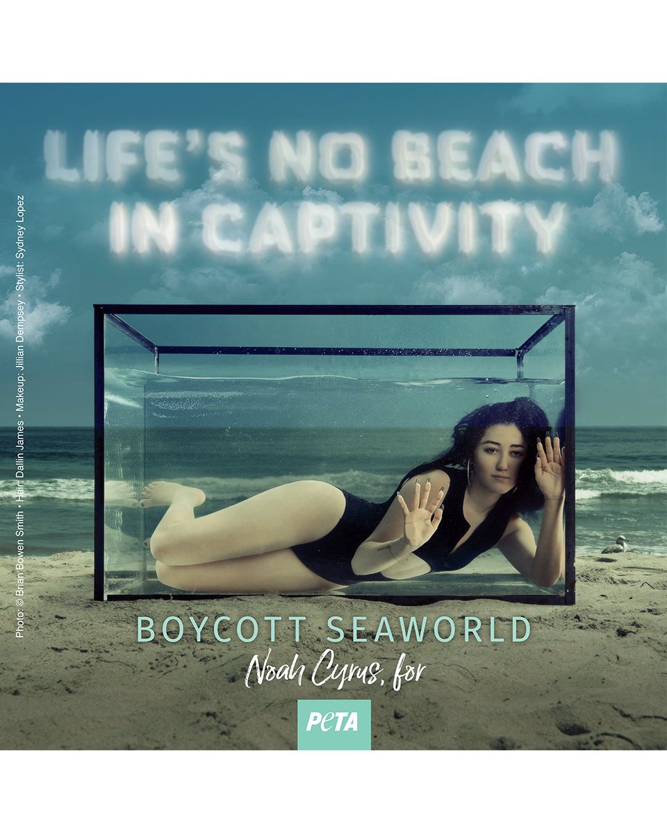 #BoycottSeaWorldDay 🐬 @noahcyrus