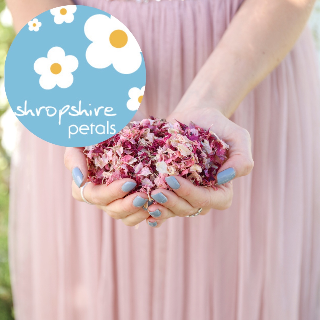 🌟EXHIBITOR OF THE WEEK🌟

@shropshirepetals grow, handpick and dry biodegradable wedding confetti on their farm in Shropshire. 

Come and meet Shropshire Petals at our show this autumn at NEC Birmingham
#shropshirepetals #weddingconfetti #tnws #nationalweddingshow #weddingshowuk