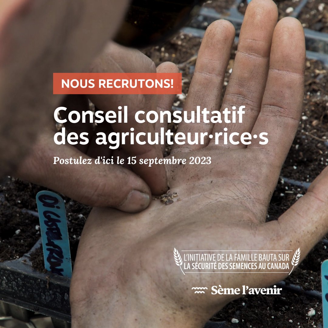 L'initiative de la famille Bauta, le programme Canadien de #Sèmelavenir, recrute des membres pour son nouveau Conseil consultatif des agriculteur·rice·s.

La date limite pour déposer votre candidature est le 15 septembre 2023. 

Plus de détails ici: seedsecurity.ca/fr/a-propos/co…