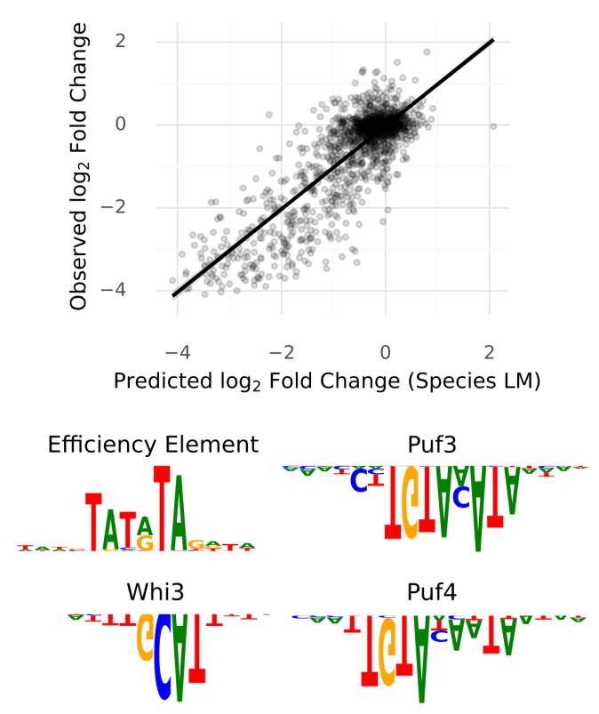 Alexander Karollus tweet media