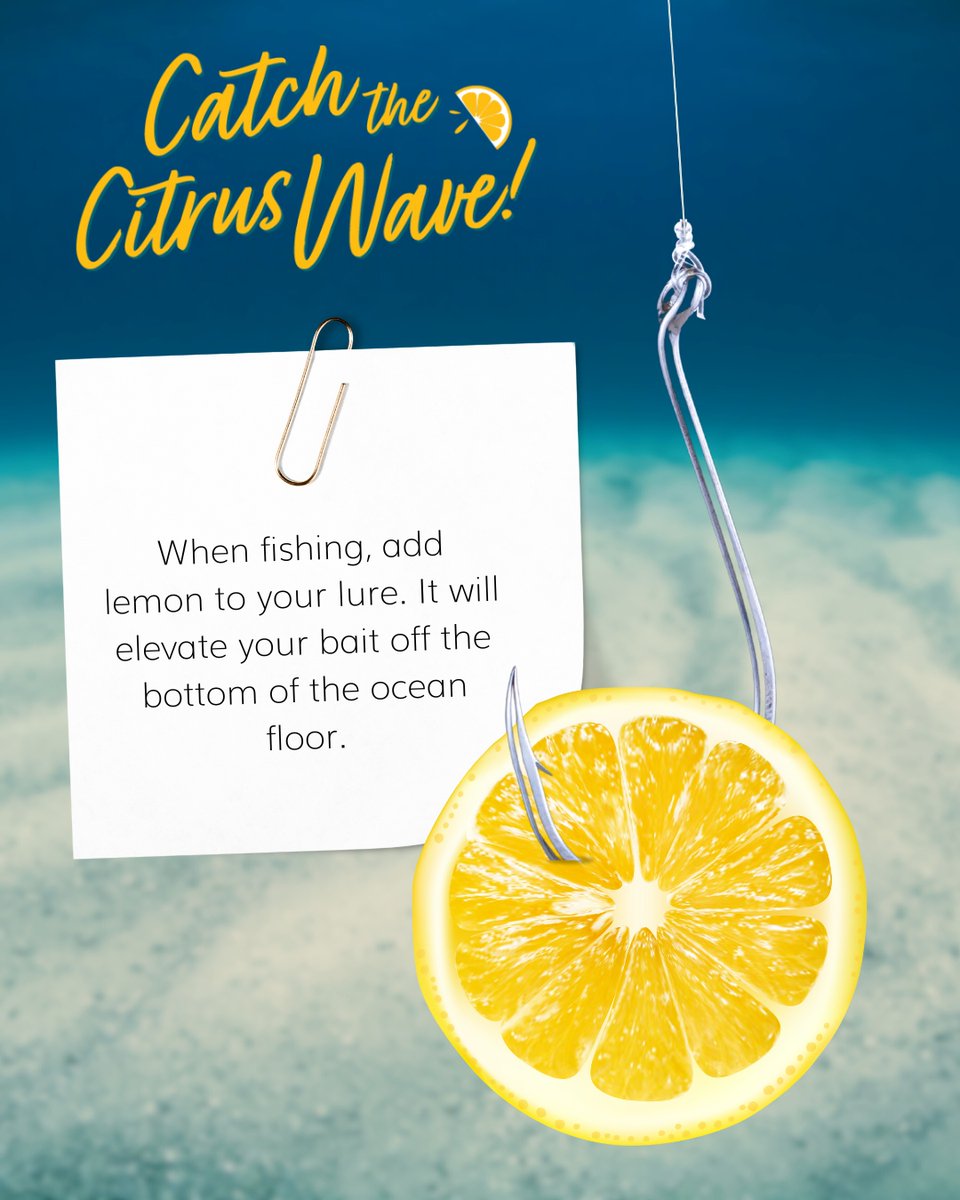 LimoneiraCo's tweet image. Today’s Lemon Tip: For All the People Who Love Fishing 🍋🎣

Try adding a lemon to your line with a popping cork rig when you’re fishing in a rocky area. The lemon will elevate your bait off the bottom of the ocean, and it’ll increase your sensitivity. #Lemontip #Limoneira
