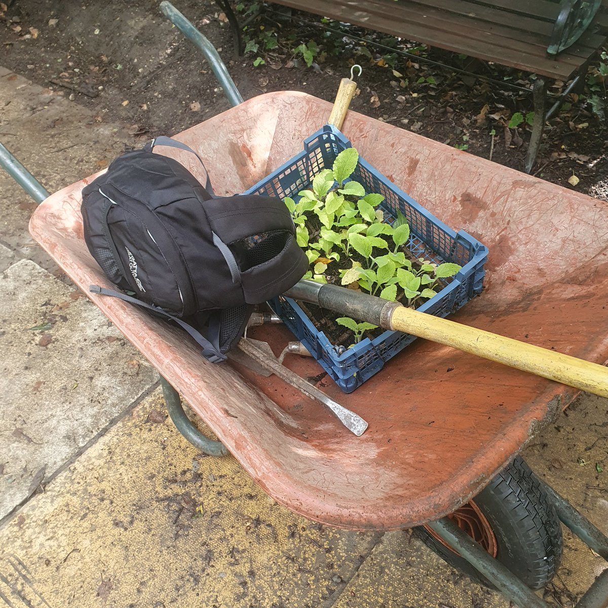 Chur Envi Volunteers tweet media