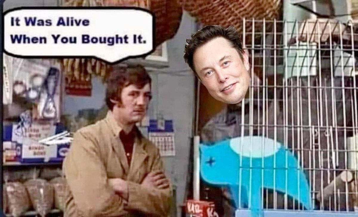 TatooineUnited's tweet image. 