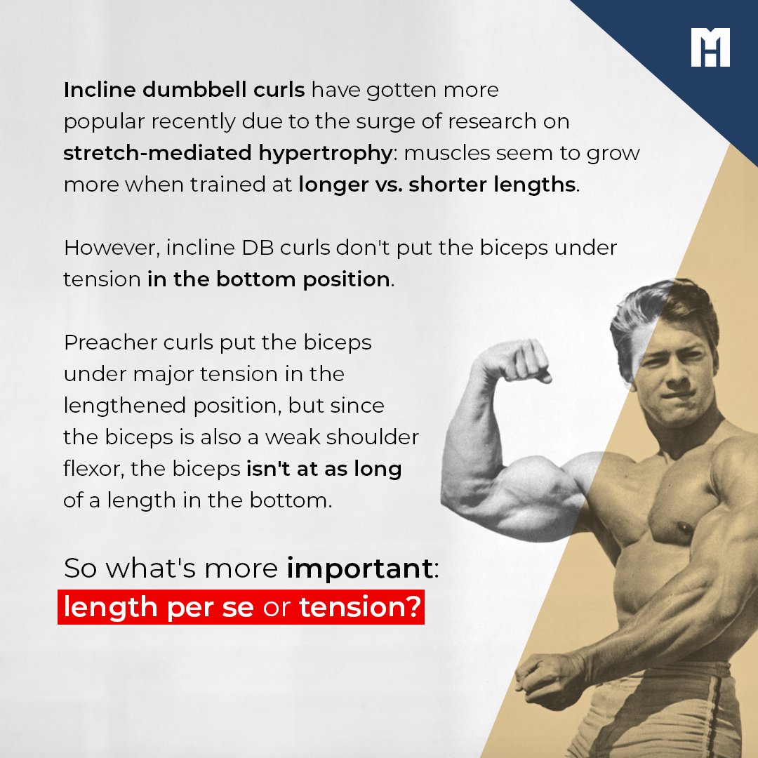 MennoHenselmans's tweet photo. Preacher curls vs. incline curls for biceps growth: new study

#bicepsworkout #bicepsday #bicepsworkout #bicepscurl #armsday #armsworkout #armstraining #bodybuilding #personaltraining #mennohenselmans #personaltrainer #personaltrainers https://t.co/bPthy3SFuf