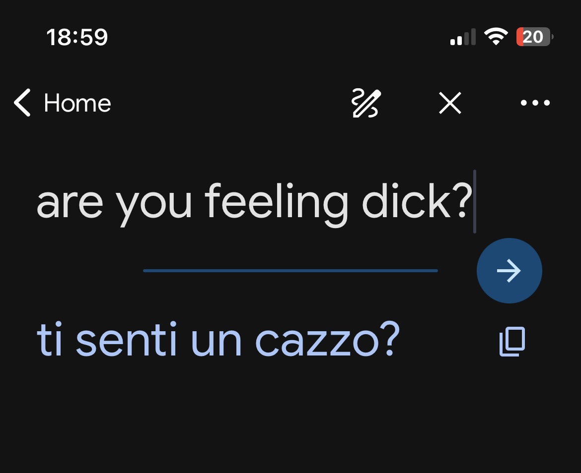 Wanted to ask my Italian mother in law if she was feeling ill, but Google translate had other ideas. Luckily my wife was there to help explain her confused look.