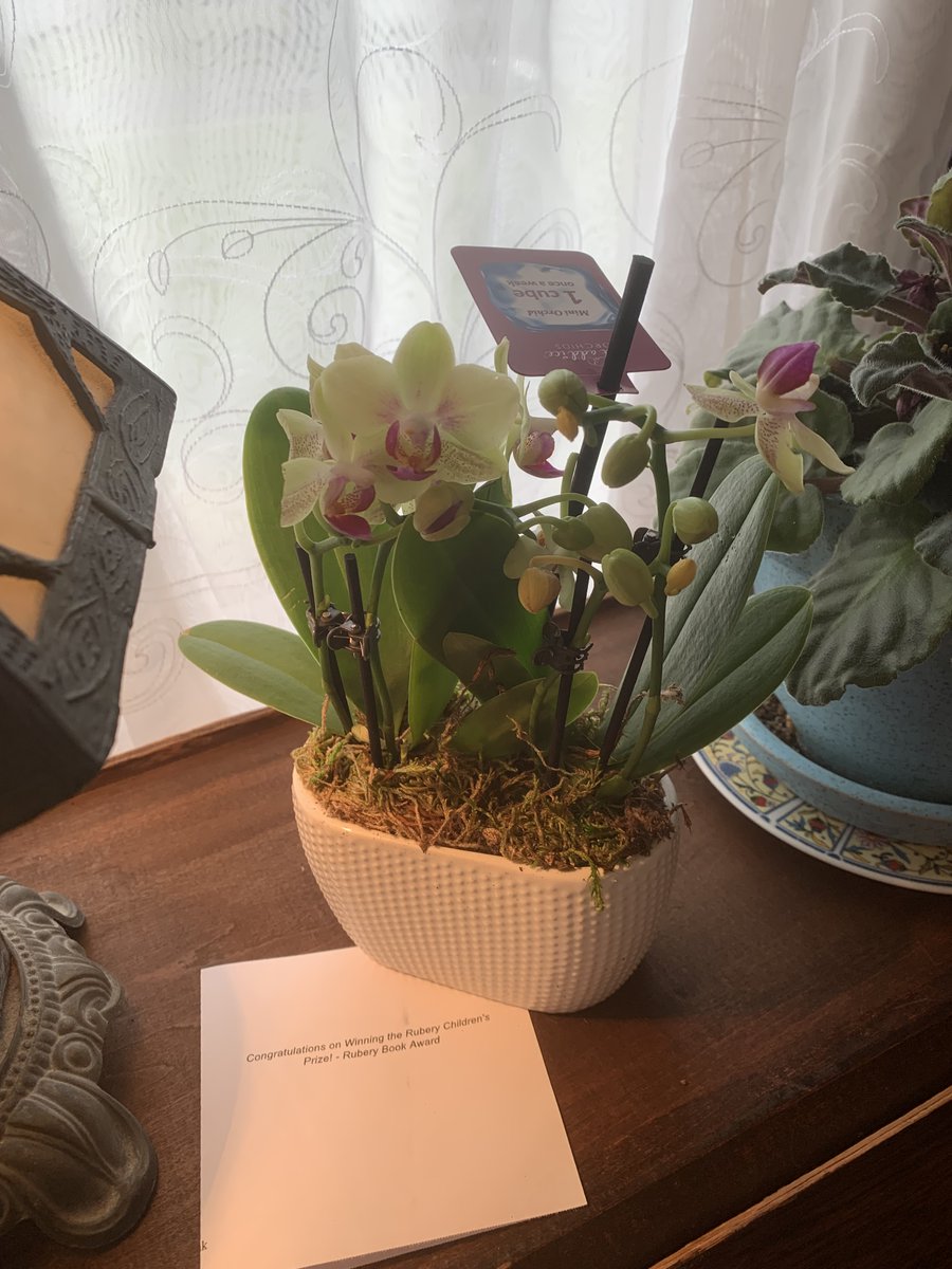 Our Children's Prize winner, Barbara Valencia has received her lovely orchids! #winner2023