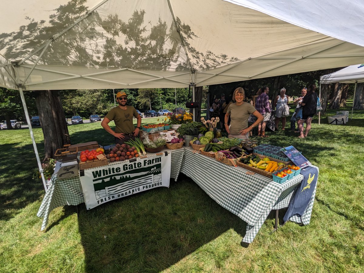 The Rockfall Foundation tweet media