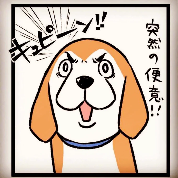 イラストは「もふもふ犬まみれ」の中に出てくる祖父母の愛犬アトムです。

今日は仕事帰りにおばあちゃんの施設へ面会に行きました。

グミの事で忙しくなかなか会いに来れなかったけどおばあちゃんはまだ私を覚えていてくれて変わらずお喋りで、話のネタにと持って行った
#ビーグルのアトム
#劇画の日 