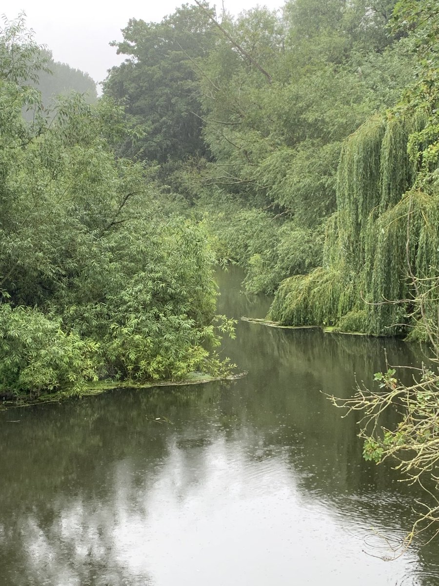 if you don't get 
what you want
you can make
a video
a drawing
a scratch on the paper
five words in a row
three lines

the unlucky gets
another coat
the misfortune
can be carried
there is a poem