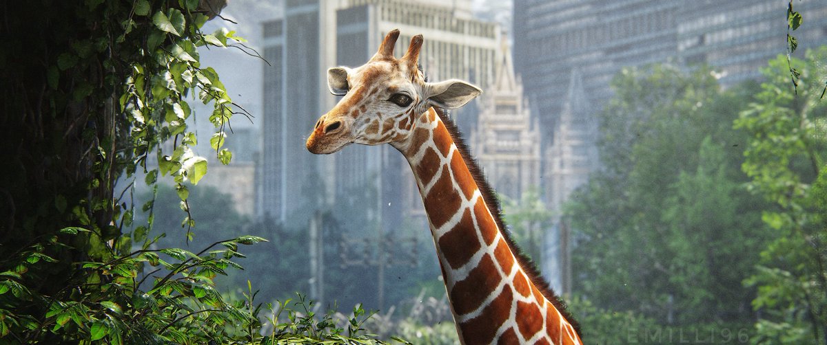 Emilli96's tweet image. #TheLastofUsPartI 🦒