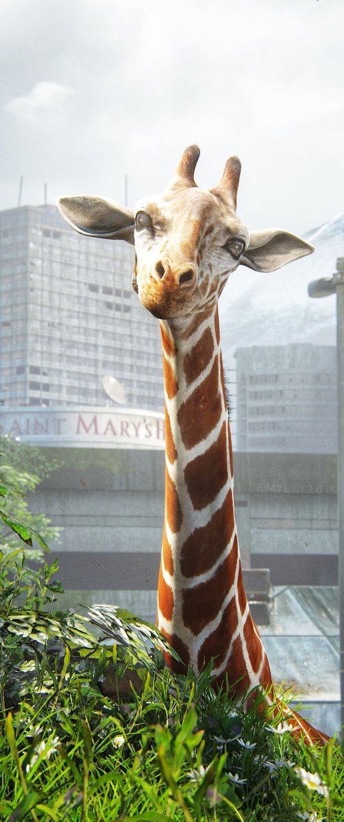 Emilli96's tweet image. #TheLastofUsPartI 🦒