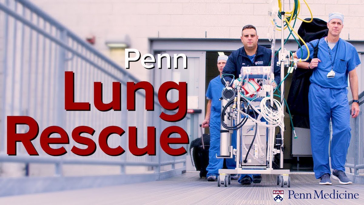 Penn Medicine CSO (@pennmedcso) on Twitter photo In <a href="/PennMedNews/">Penn Medicine News</a>, how the exceptional work of the <a href="/PennLungRescue/">PennLungRescue</a> team & their expert use of extracorporeal membrane oxygenation (#ECMO) provided a crucial bridge to lung recovery for cancer survivor Joey Porch ft. <a href="/AESpelde_MD/">Audrey Spelde, MD</a> (<a href="/PennAnesthesia/">Penn Anesthesia</a>) bit.ly/44qjQto In <a href="/PennMedNews/">Penn Medicine News</a>, how the exceptional work of the <a href="/PennLungRescue/">PennLungRescue</a> team & their expert use of extracorporeal membrane oxygenation (#ECMO) provided a crucial bridge to lung recovery for cancer survivor Joey Porch ft. <a href="/AESpelde_MD/">Audrey Spelde, MD</a> (<a href="/PennAnesthesia/">Penn Anesthesia</a>) bit.ly/44qjQto