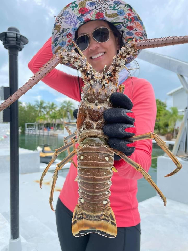 TeamMullins1's tweet photo. Count down to Mini-Lobster Season. 2 More days.....
#minilobsterseason #floridakeys #keywest #livinginthefloridakeys #icanhelpwiththat #wanttochangeyourlife #fredmullins #teammullins #mserinl https://t.co/7QytH9ic7Y