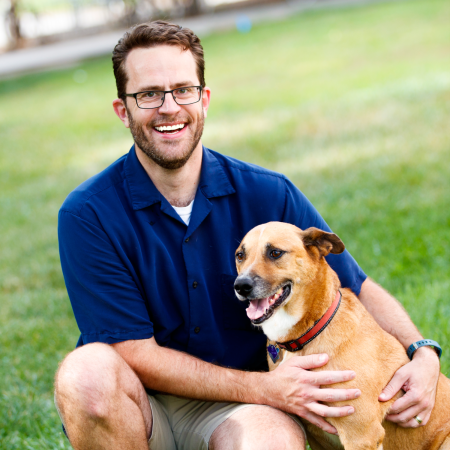 ManyDogs tweet media