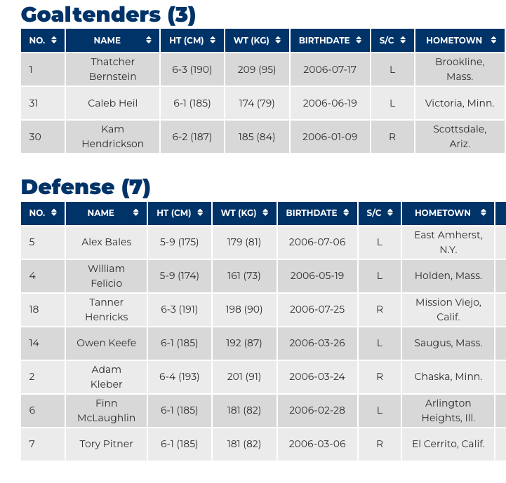 Chris Peters on Twitter "Team USA's roster for the HlinkaGretzky Cup