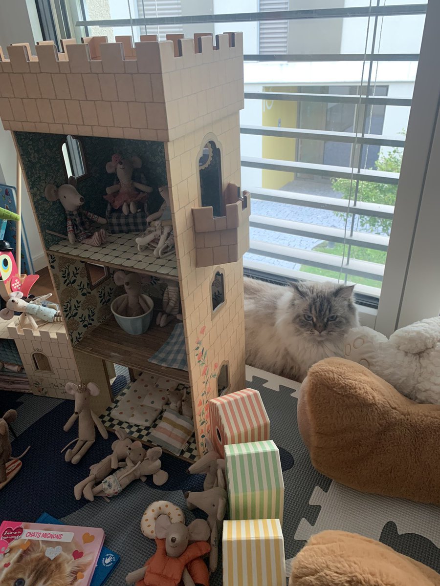 fluffy_potichat's tweet image. J’explique le plan aux souris (regardez ce que je leur fais lire, poke la team soutine ❤️)