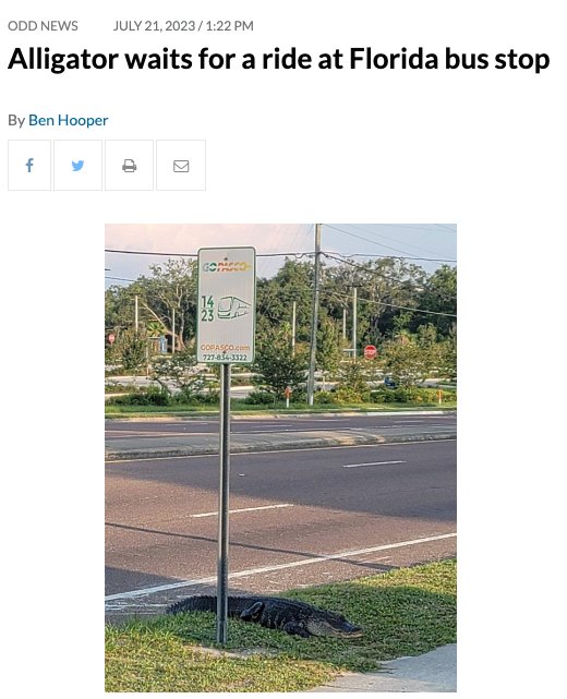 GatorsDaily's tweet photo. public transit king https://t.co/hr639tvXD7
