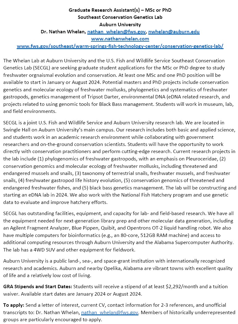 Nathan Whelan tweet media