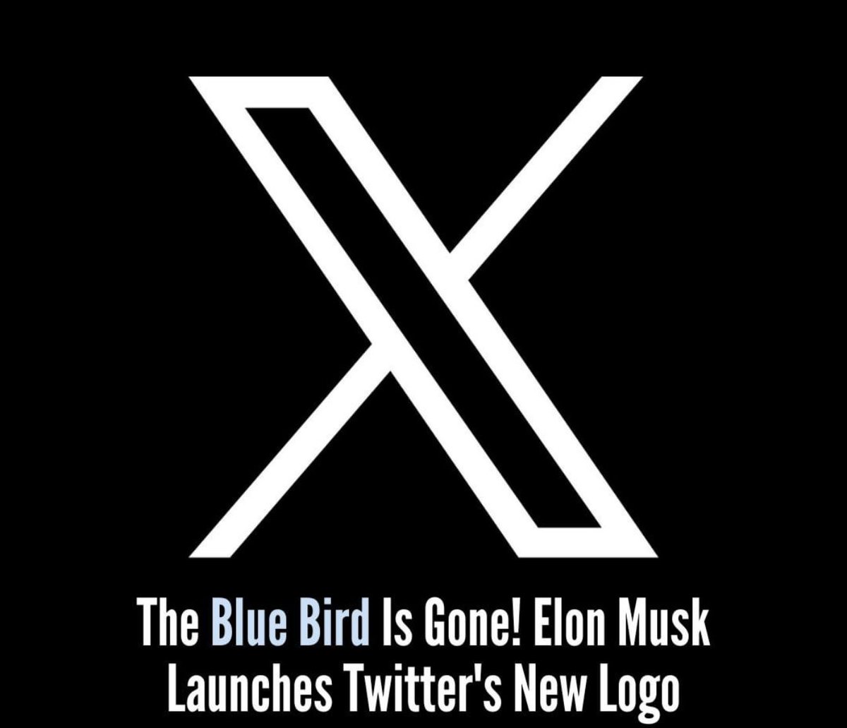 HeerkaurIN's tweet photo. Whyyyyyyyyyy???????? @elonmusk 
#TwitterLogo https://t.co/icwRTYRkF5