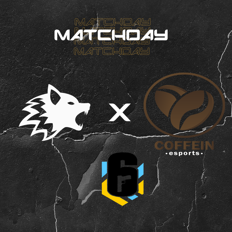 c'est partie pour notre quatrième match départ 21h00 sur la chaine de la twitch.tv/arshtvi . Ce soir est un match européen contre les deuxième de la minor A de la saison dernière . On doit gagner pour tenter de reprendre la première place glhf #coffein