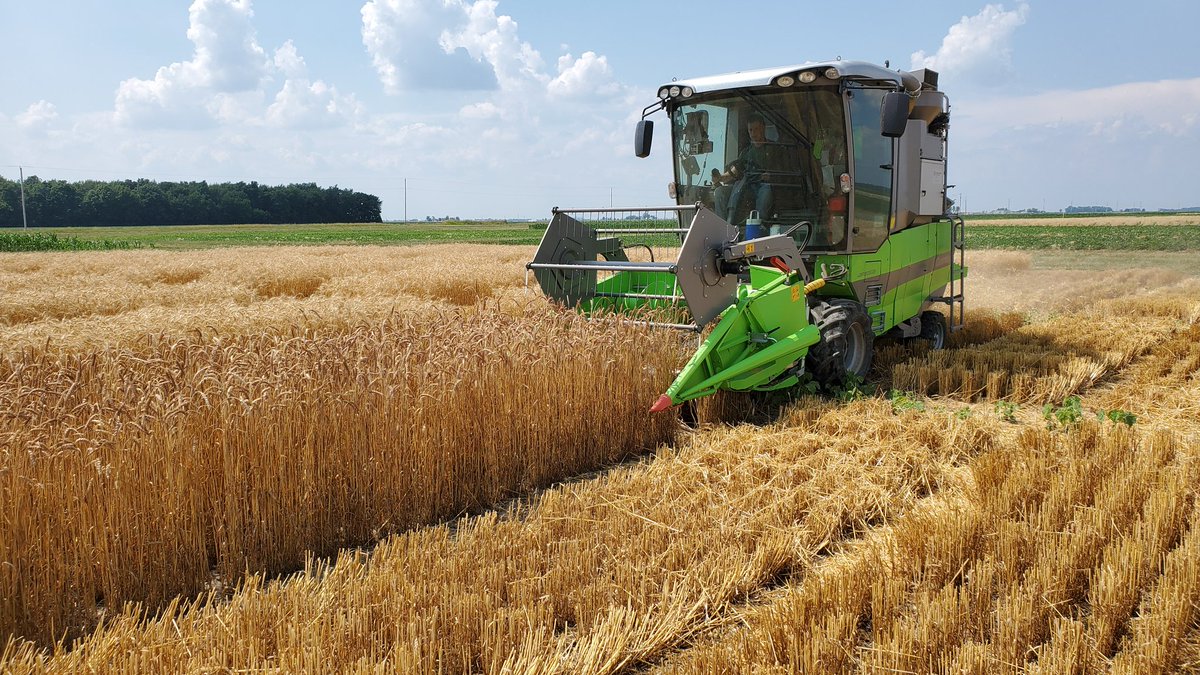 Planting wheat this fall? Check out the 2023 Ohio Wheat Performance Test: stepupsoy.osu.edu/news/2023-ohio… Our top yield was 139 bu/acre in Darke County...It's always a good year to plant wheat, but this year was especially good 👏 <a href="/OhioCornWheat/">Ohio Corn & Wheat</a> <a href="/OSU_Agronomy/">Ohio State Agronomy</a>