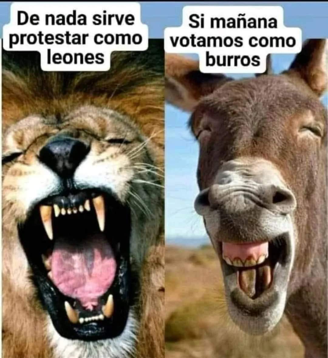 Haceoirtuvoz's tweet photo. #DespiertaLatam
#Elecciones2023 🌎
@jcarlosblumberg
@LICMARCEDALVIA
Para reflexionar 👇 https://t.co/UWzSrZ2X5r