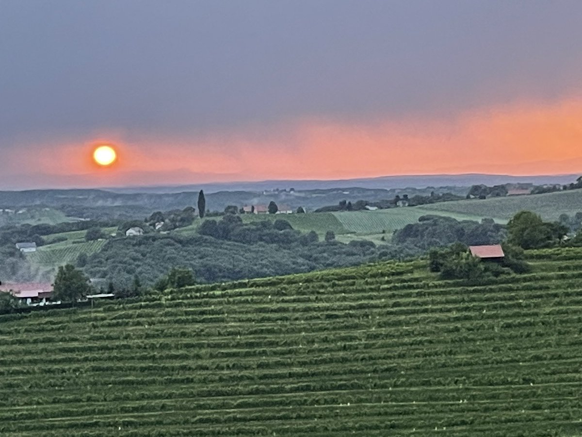 Beautiful sunset in our vineyards, no filter😊