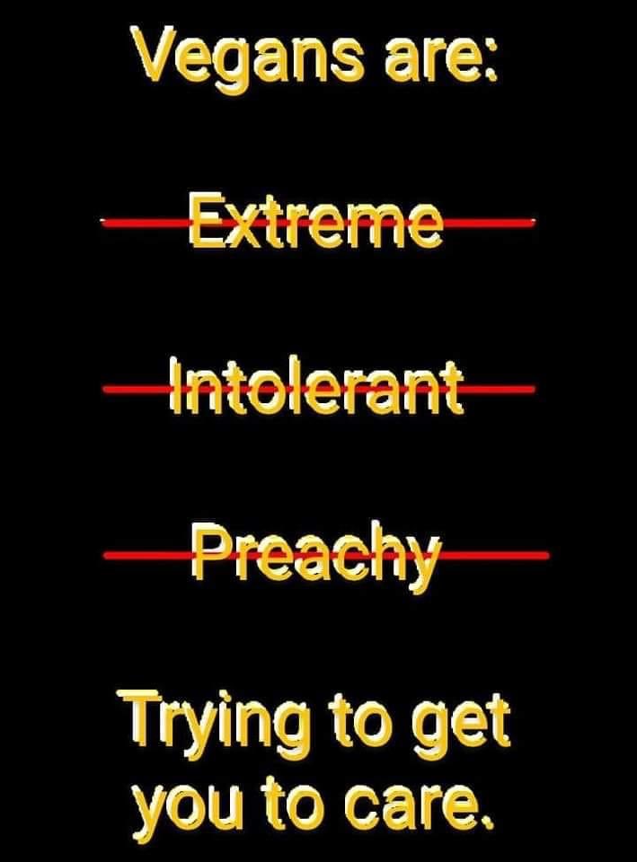 Cerebral Symphony (@cerebralsymphoy) on Twitter photo 