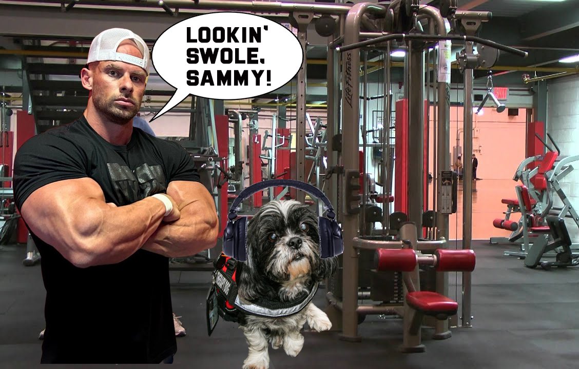USArmyNETCOM's tweet image. Have you met our official mascot Signal Sammy? When he’s not protecting Greely Hall, he “be up in the gym just working on my fitness.” He doesn’t even have opposable thumbs and crushes the ACFT. Don’t neglect your fitness. Sammy is watching.