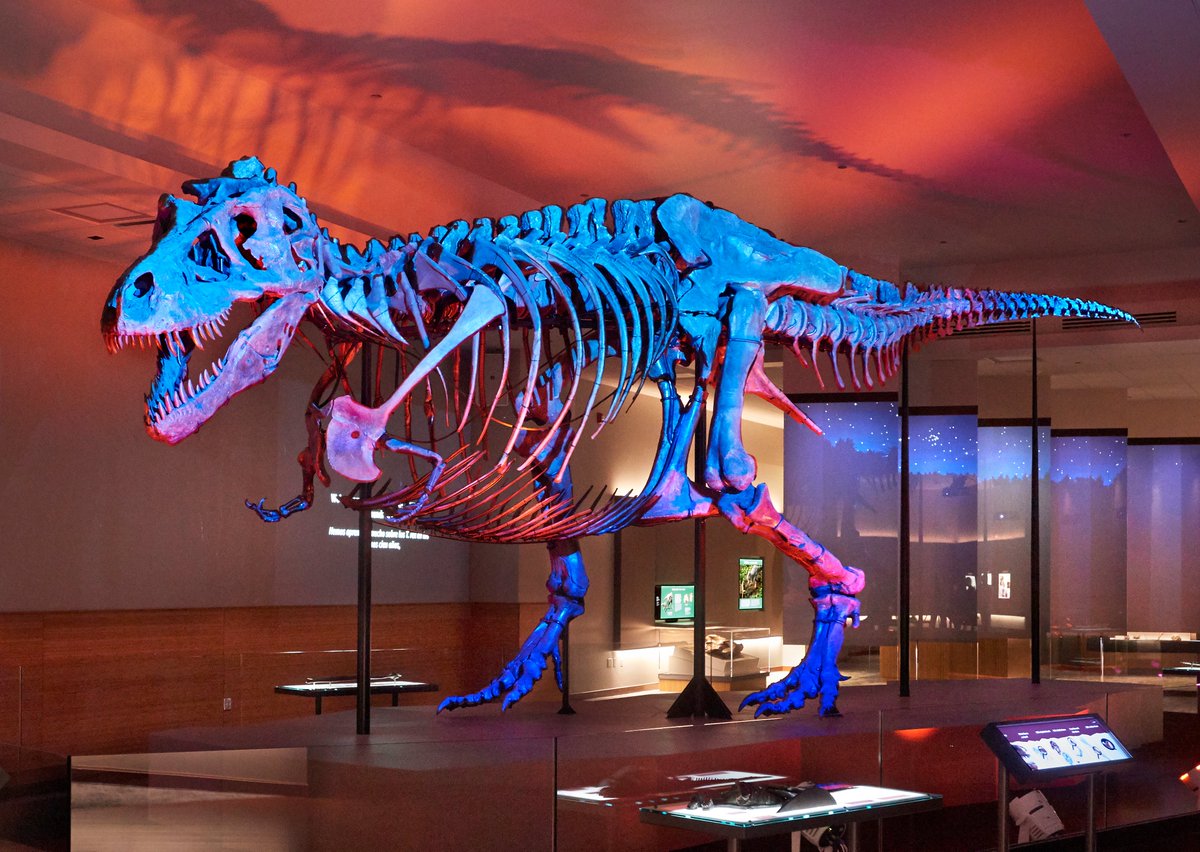 the only eXtinct bird that really matters