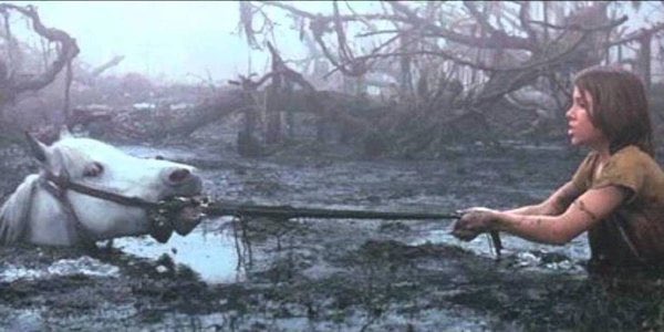 fewlauren's tweet photo. @NoContextHumans The never ending story 😭 why is the horse so down. I hate it!! https://t.co/8Hn8cM5mFi
