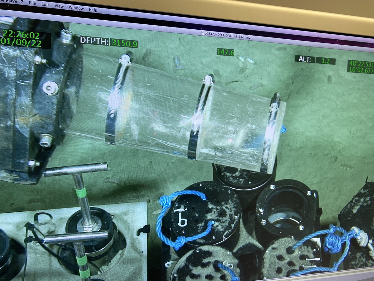 Mike Clare (@mikeaclare) on Twitter photo Great to have <a href="/Sed_Keavney/">Ed Keavney</a> visiting <a href="/NOCnews/">National Oceanography Centre</a> working on seafloor samples and ROV footage from deep sea canyons to assess microplastics pollution. Thanks to <a href="/BOSCORF_NOC/">BOSCORF</a> for providing access during their busy refurb! Linked to @CLASS_UKRI work in Whittard Canyon w <a href="/VeerleHuvenne/">Dr ir Veerle Huvenne</a> Great to have <a href="/Sed_Keavney/">Ed Keavney</a> visiting <a href="/NOCnews/">National Oceanography Centre</a> working on seafloor samples and ROV footage from deep sea canyons to assess microplastics pollution. Thanks to <a href="/BOSCORF_NOC/">BOSCORF</a> for providing access during their busy refurb! Linked to @CLASS_UKRI work in Whittard Canyon w <a href="/VeerleHuvenne/">Dr ir Veerle Huvenne</a>