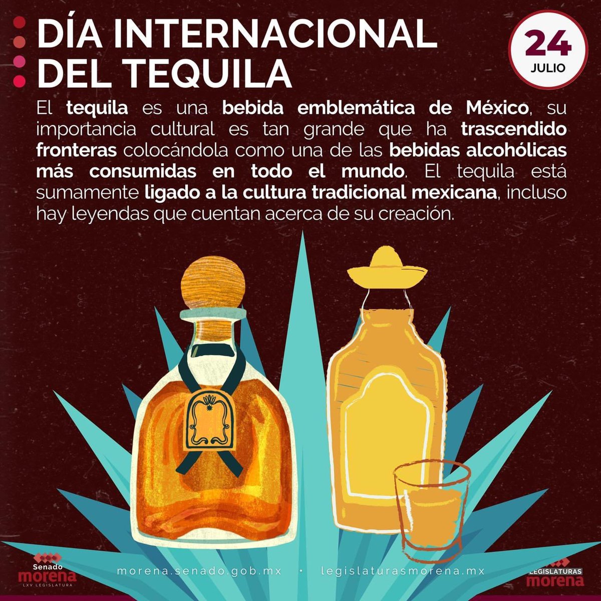 Celebremos el Día Internacional del Tequila, originaria de mi hermoso estado de Jalisco.
El tequila representa nuestra cultura, tradición y pasión por la tierra que nos da el agave azul.  Brindemos por la riqueza de nuestra tierra y su sabor único.