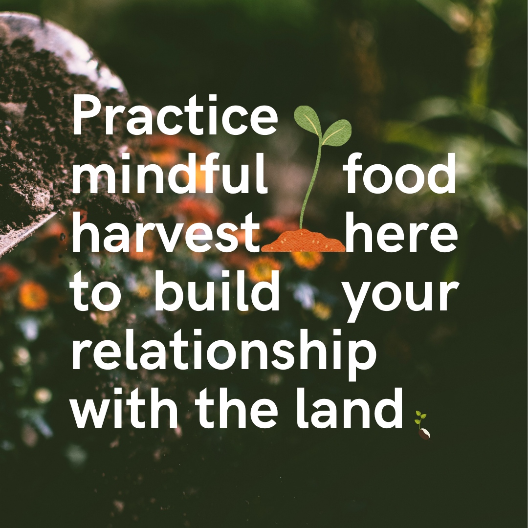 Mountains to Sound Greenway Trust tweet media