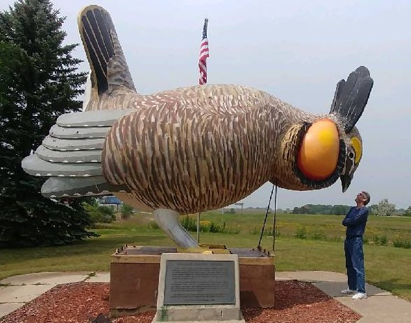 With the Prairie Chicken in Rothsay (MN).