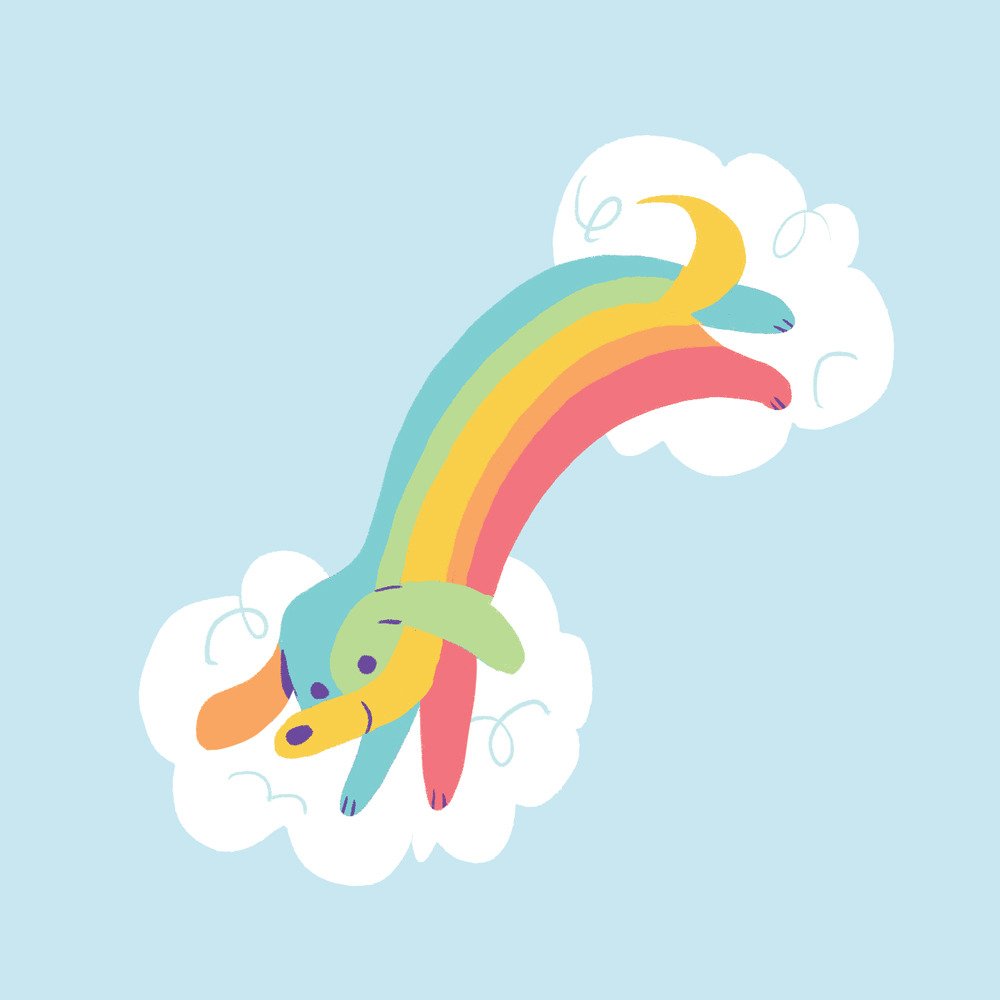 rainbow puppy