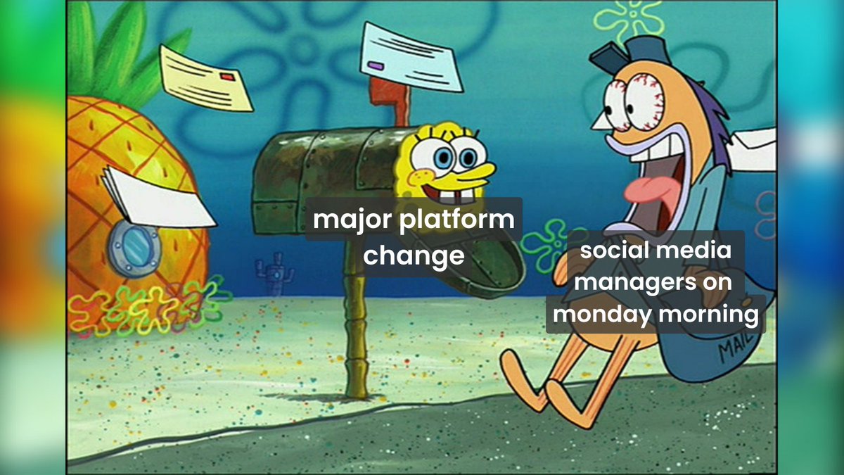 emplifi_io's tweet photo. x-pecting another chill week in social media marketing https://t.co/rAXaAlmclA