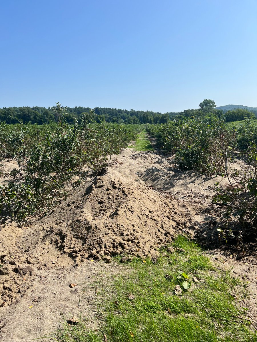 SVGarimella's tweet photo. While VT faces unprecedented challenges, it’s humbling to see our state band together. Thankful to @UVMExtension, @UVM_OEM, @jarlathond’s team, and 100s of @uvmvermont volunteers helping our neighbors. Thanks @PeterWelch, @GovPhilScott, and @anson_ag for today's visit. https://t.co/n6w2MBYO0W