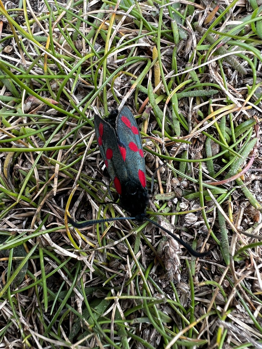 Russ Avery FRSA tweet media