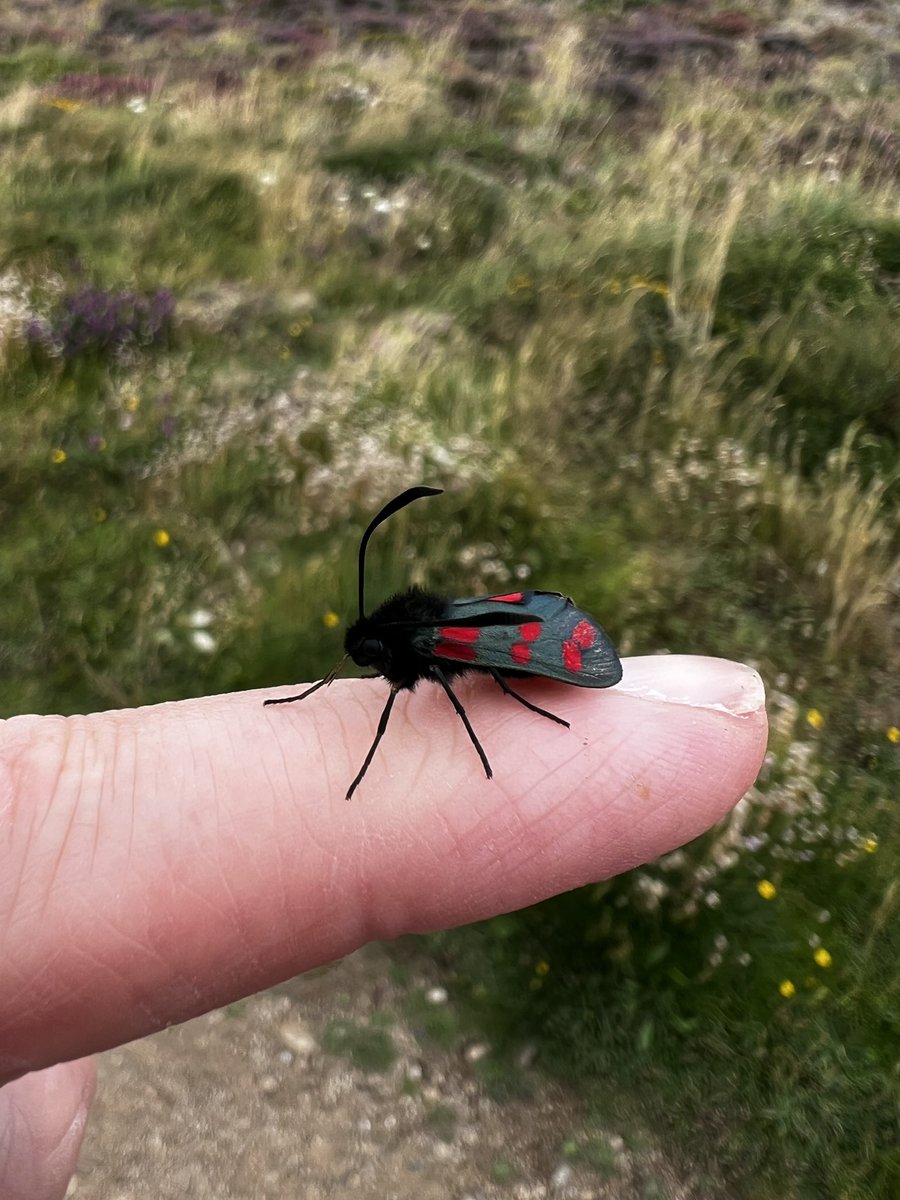 Russ Avery FRSA tweet media