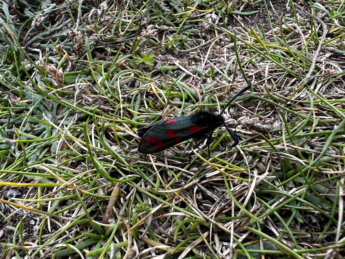 Russ Avery FRSA tweet media